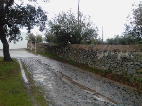 OLIVAL URBANO NO CORVAL