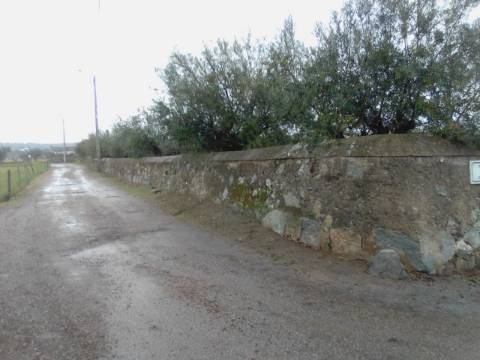 OLIVAL URBANO NO CORVAL