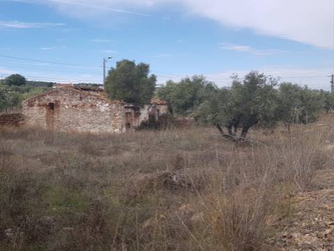 Alentejo - BORBA: Quinta em terreno Urbano para reconstrução/ construção de moradia, privacidade!