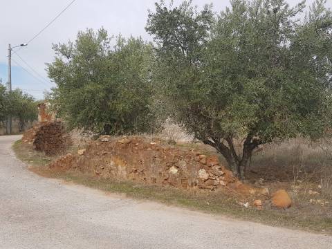 Alentejo - BORBA: Quinta em terreno Urbano para reconstrução/ construção de moradia, privacidade!