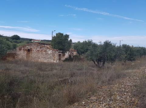 Alentejo - BORBA: Quinta em terreno Urbano para reconstrução/ construção de moradia, privacidade!