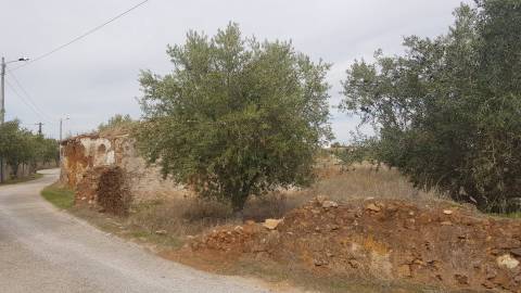 Alentejo - BORBA: Quinta em terreno Urbano para reconstrução/ construção de moradia, privacidade!