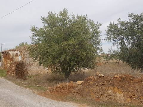 Alentejo - BORBA: Quinta em terreno Urbano para reconstrução/ construção de moradia, privacidade!