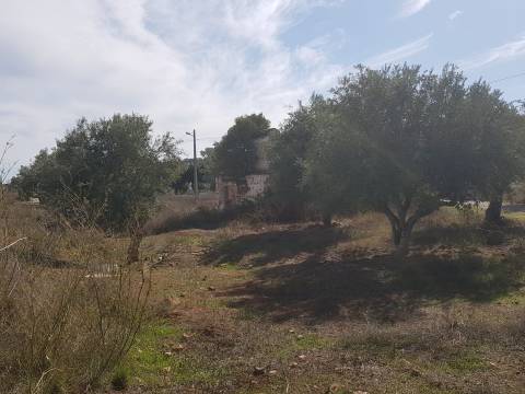 Alentejo - BORBA: Quinta em terreno Urbano para reconstrução/ construção de moradia, privacidade!