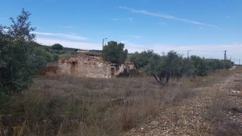 Alentejo - BORBA: Quinta em terreno Urbano para reconstrução/ construção de moradia, privacidade!