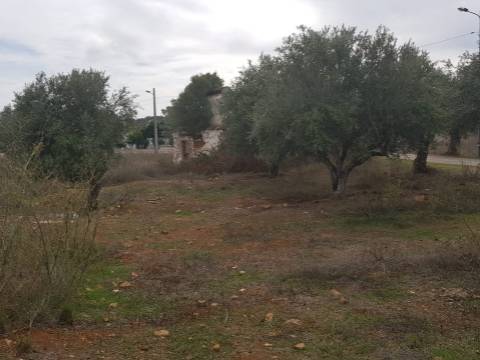 Alentejo - BORBA: Quinta em terreno Urbano para reconstrução/ construção de moradia, privacidade!