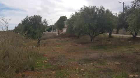 Alentejo - BORBA: Quinta em terreno Urbano para reconstrução/ construção de moradia, privacidade!