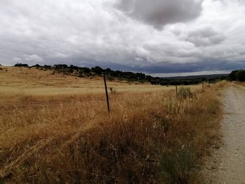 Terreno Rústico em São Pedro do Corval: Quinta à beira de São Pedro, o horizonte é o limite!