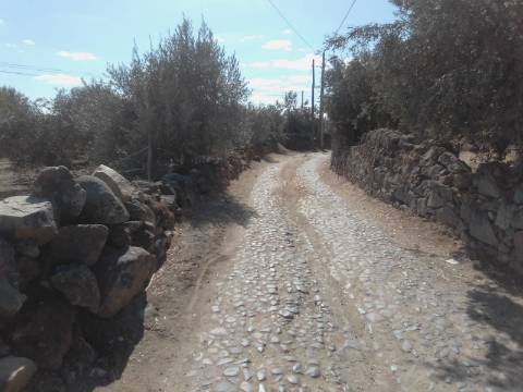 QUINTINHA URBANA NO ALENTEJO