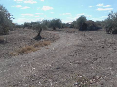 QUINTINHA URBANA NO ALENTEJO