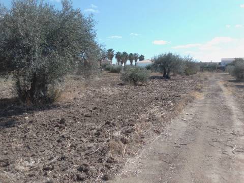QUINTINHA URBANA NO ALENTEJO
