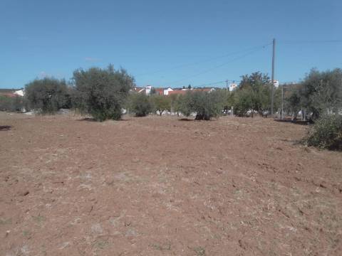 QUINTINHA URBANA NO ALENTEJO