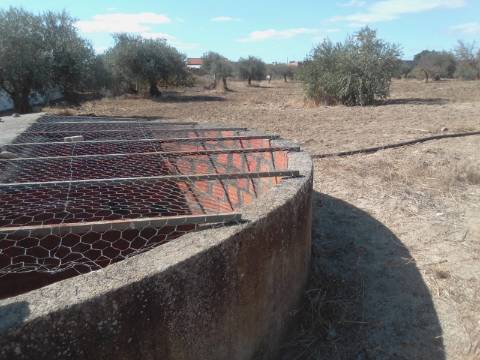 QUINTINHA URBANA NO ALENTEJO