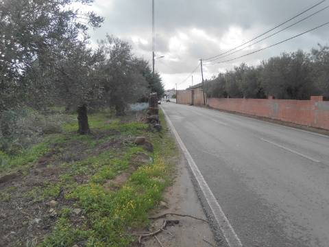 ALQUEVA: Terreno URBANO (6.000 M2) em São Pedro do Corval!