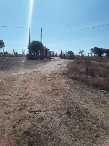 Terreno rústico c/ habitação e anexo (para reconstrução) de 1,776 Has, no Ribatejo; é preciso legalizar o edificado!