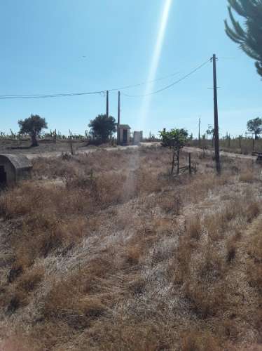 Terreno rústico c/ habitação e anexo (para reconstrução) de 1,776 Has, no Ribatejo; é preciso legalizar o edificado!