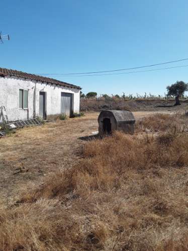 Terreno rústico c/ habitação e anexo (para reconstrução) de 1,776 Has, no Ribatejo; é preciso legalizar o edificado!