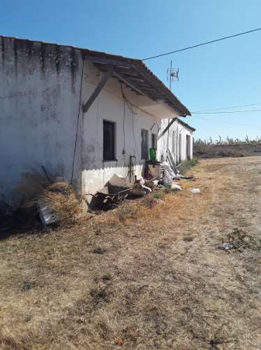 Terreno rústico c/ habitação e anexo (para reconstrução) de 1,776 Has, no Ribatejo; é preciso legalizar o edificado!