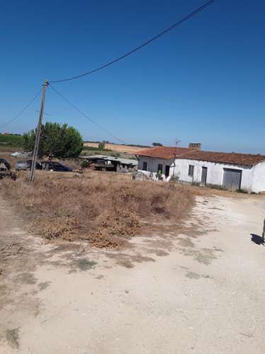 Terreno rústico c/ habitação e anexo (para reconstrução) de 1,776 Has, no Ribatejo; é preciso legalizar o edificado!