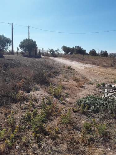 Terreno rústico c/ habitação e anexo (para reconstrução) de 1,776 Has, no Ribatejo; é preciso legalizar o edificado!