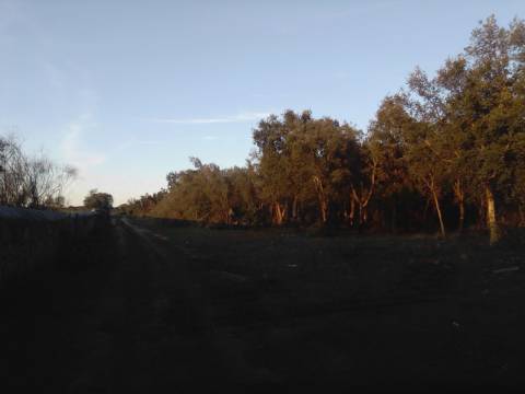 38 Hectares - Quinta Agrícola no Alqueva - Reguengos de Monsaraz!