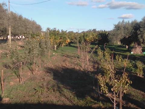 38 Hectares - Quinta Agrícola no Alqueva - Reguengos de Monsaraz!
