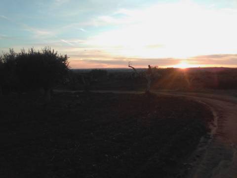 38 Hectares - Quinta Agrícola no Alqueva - Reguengos de Monsaraz!