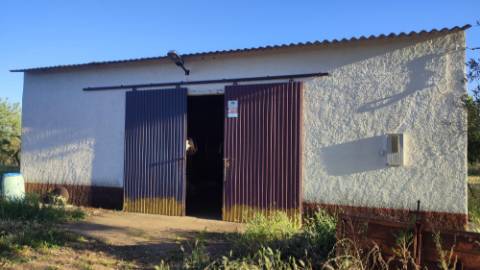 Mourão - ALQUEVA: 53.250 m2, propriedade rústica c/ 4,2 hectares de amendoal!