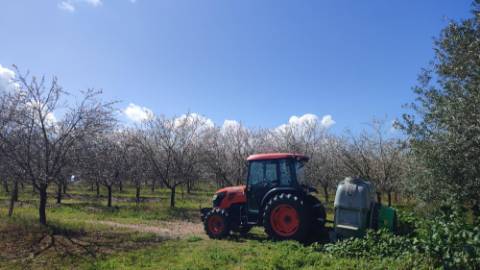 Mourão - ALQUEVA: 53.250 m2, propriedade rústica c/ 4,2 hectares de amendoal!