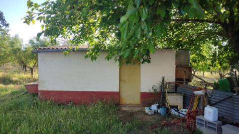 Mourão - ALQUEVA: 53.250 m2, propriedade rústica c/ 4,2 hectares de amendoal!