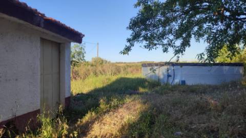 Mourão - ALQUEVA: 53.250 m2, propriedade rústica c/ 4,2 hectares de amendoal!