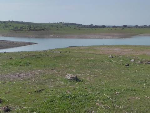 ALQUEVA - Mourão: Investimento Turístico, Herdade + casa particular c/ + 9 Hectares!