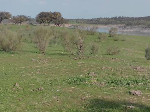 ALQUEVA - Mourão: Investimento Turístico, Herdade + casa particular c/ + 9 Hectares!