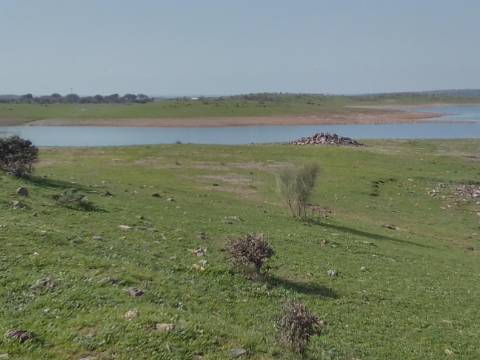 ALQUEVA - Mourão: Investimento Turístico, Herdade + casa particular c/ + 9 Hectares!