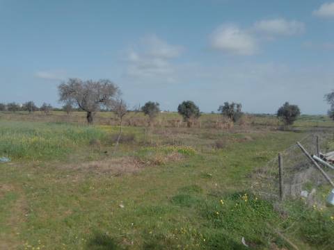 ALQUEVA - Mourão: Investimento Turístico, Herdade + casa particular c/ + 9 Hectares!