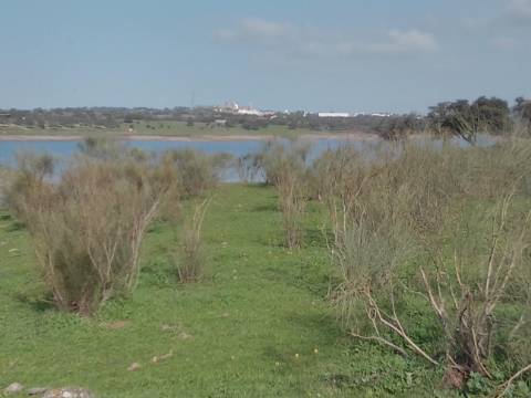 ALQUEVA - Mourão: Investimento Turístico, Herdade + casa particular c/ + 9 Hectares!