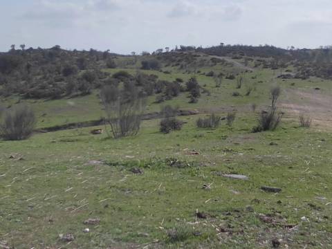 ALQUEVA - Mourão: Investimento Turístico, Herdade + casa particular c/ + 9 Hectares!