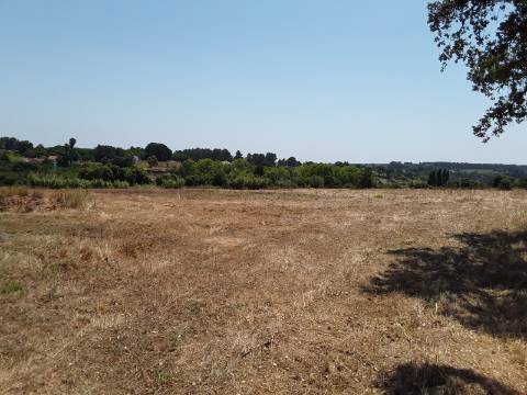 Terreno Rústico em Pontével/ Cartaxo!