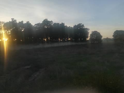 Terreno Misto em Vale da Pedra - Cartaxo