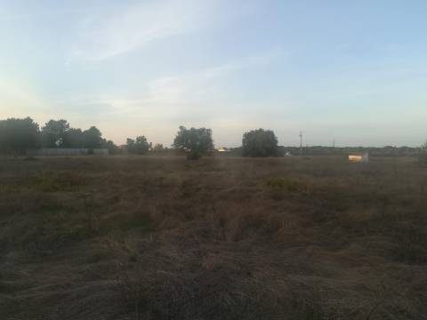 Terreno Misto em Vale da Pedra - Cartaxo