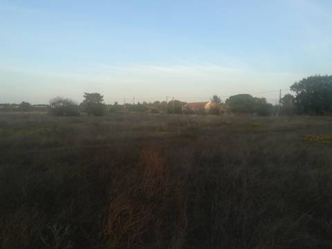 Terreno Misto em Vale da Pedra - Cartaxo