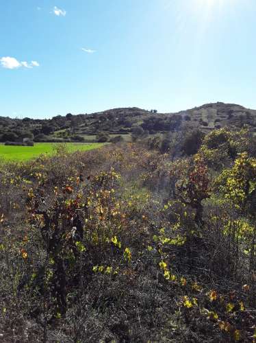Terreno Rústico em Maçussa - Azambuja.