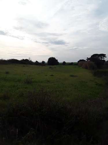 Terreno rústico no Cartaxo, área de 7.300 m2, junto a estrada municipal.