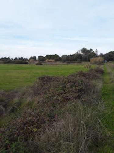 Terreno rústico no Cartaxo, área de 7.300 m2, junto a estrada municipal.