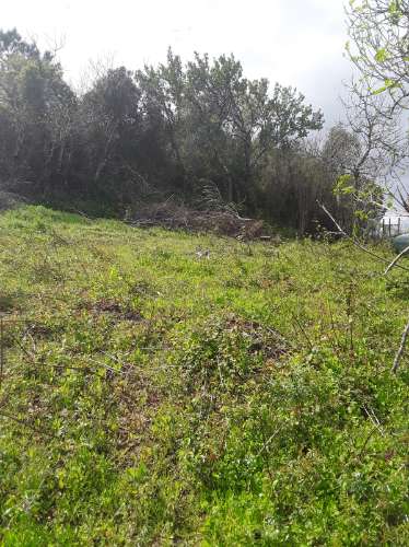 Outeiro do Moinho Terreno Rústico na Maçussa /Azambuja