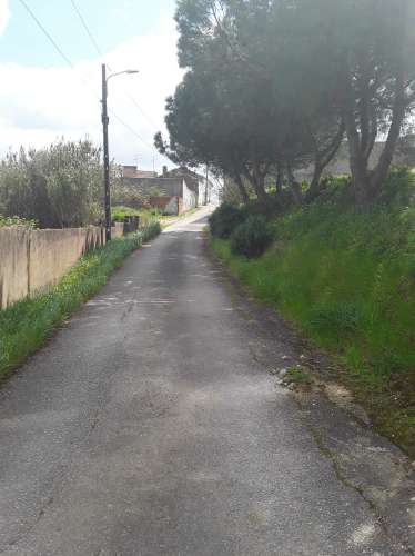 Outeiro do Moinho Terreno Rústico na Maçussa /Azambuja