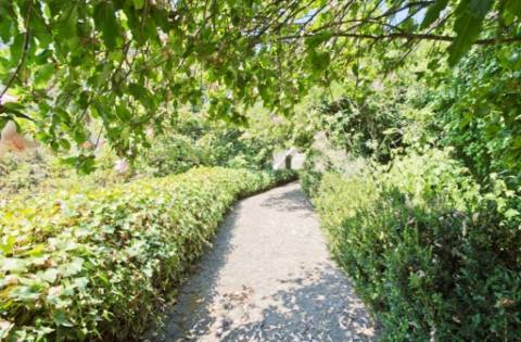 Quinta Do Sobreiro: 11.000 m2, palácio em Barcarena, investimento de superior qualidade!