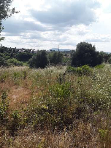 Terreno ideal para habitação sustentável.