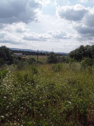 Terreno ideal para habitação sustentável.