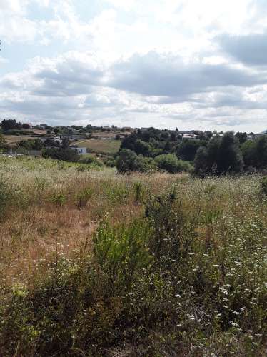 Terreno ideal para habitação sustentável.